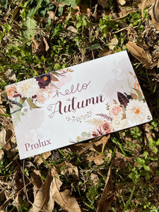 Hello Autumn Pallet by Prolux